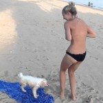 Hond valt bikini aan