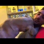 Hond vraagt om vergiffenis