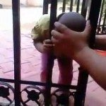 Hoofd zit vast in het hek