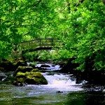 Hulpmiddel voor het slapen gaan