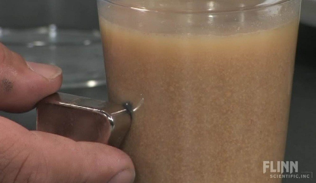 Ijzer in ons voedsel