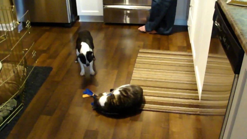 Ik wil mijn speeltje