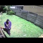 Inbreker afgeschrikt door hondje