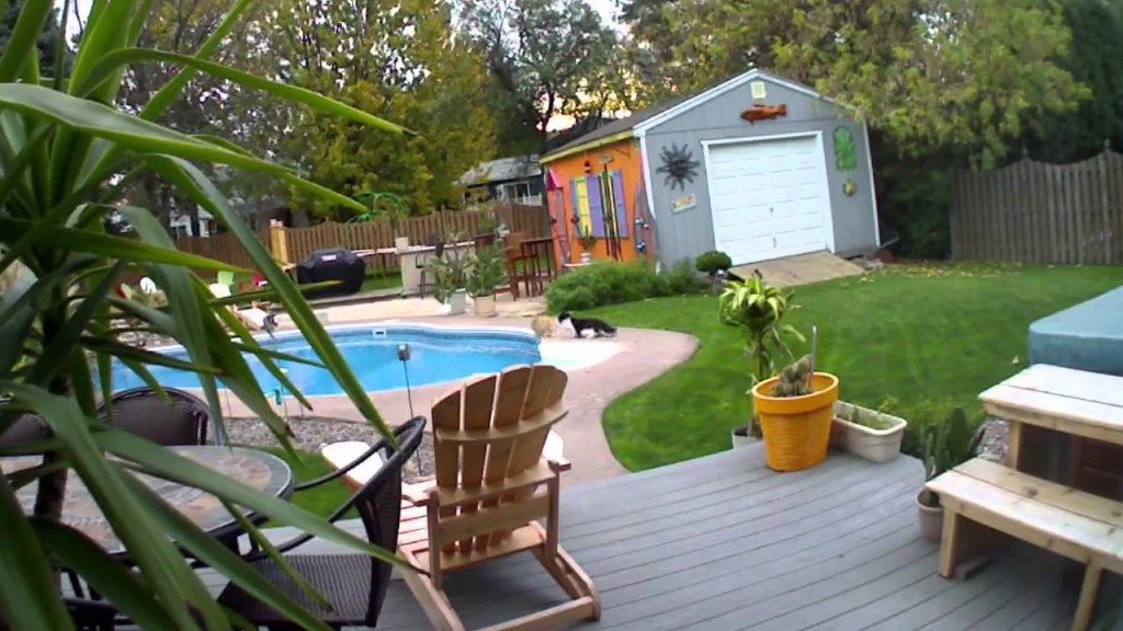 Kat verdedigt territorium