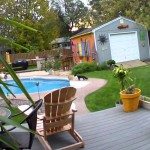 Kat verdedigt territorium