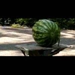 Katapult… een onderschat wapen