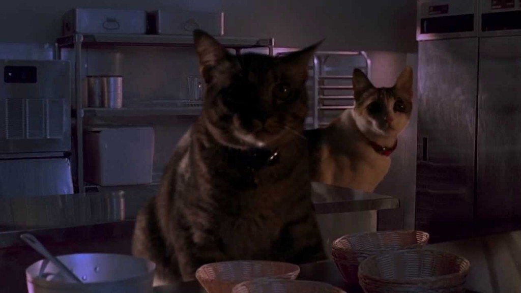 Killerkatten in Jurassic Park
