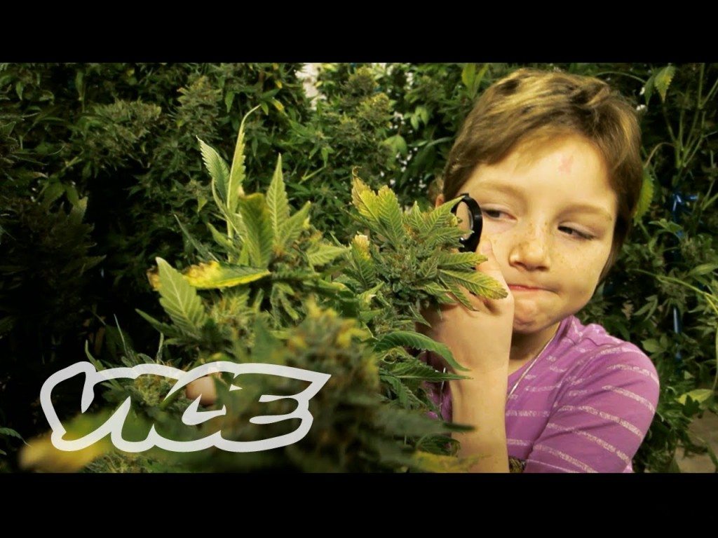 Kinderen en marihuana
