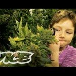 Kinderen en marihuana