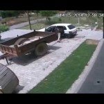 Koe stelen met een Fiat Panda