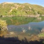 Kreta op zoek naar krokodil