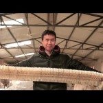 Kunstwerken van papier