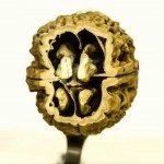 Laag per laag ontleed