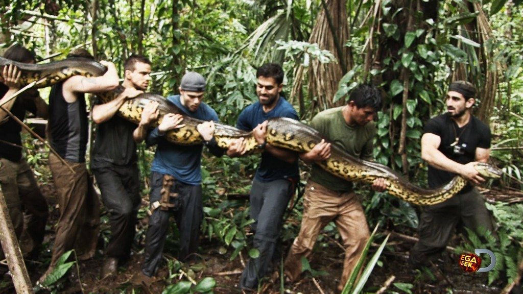 Laten opeten door een slang