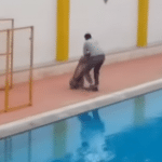 School in paniek door wild luipaard