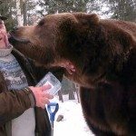 Maak kennis met de beerman