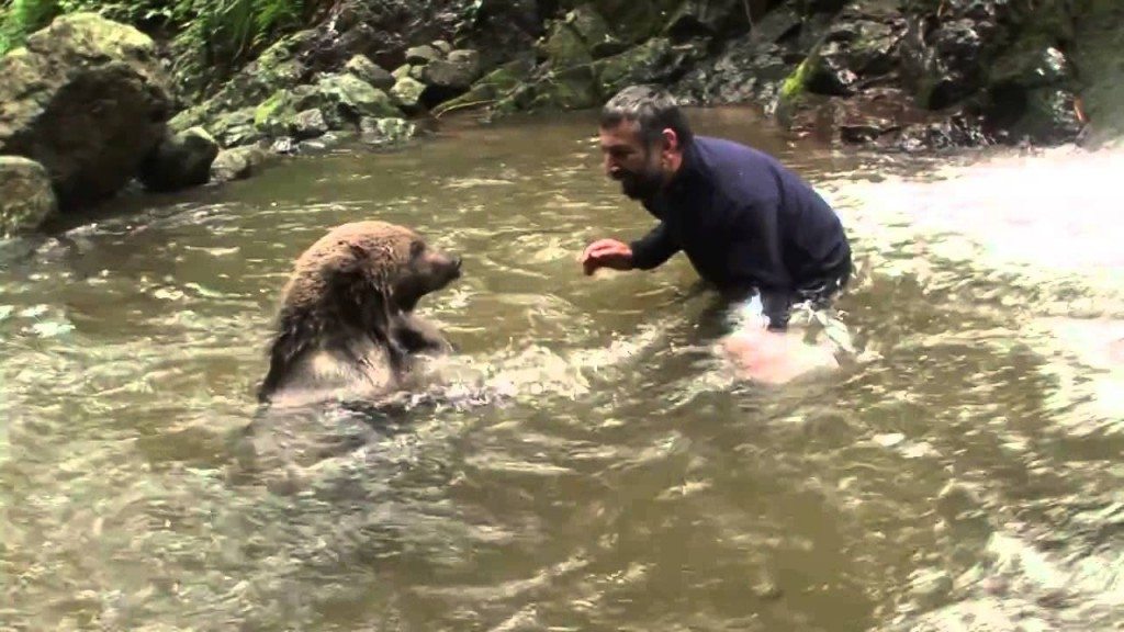 Man knuffelt en kust beer