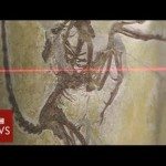 Nieuwe techniek om fossielen te onderzoeken