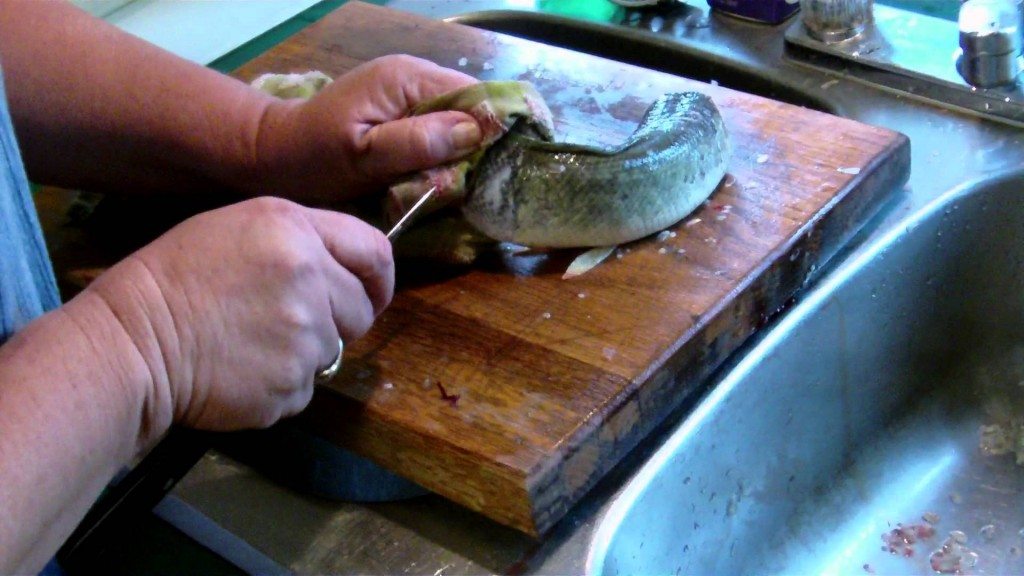 Onthoofd vis zonder organen leeft nog