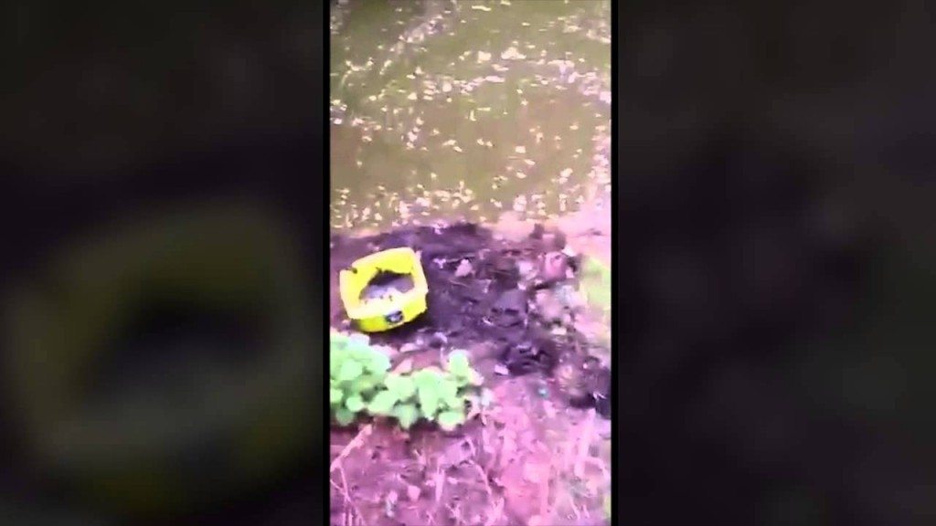 Op zoek naar een verlovingsring