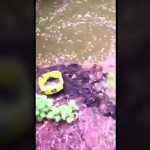 Op zoek naar een verlovingsring