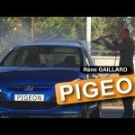 Opgepast voor duiven