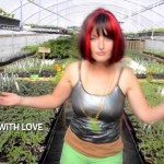 Originele commercial