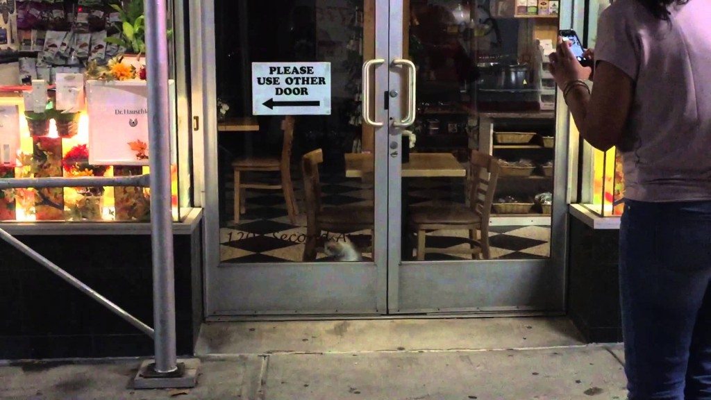 Pak me dan als je kan