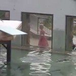 Pinguïn valt van springplank