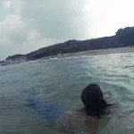 Professionele zeemeermin