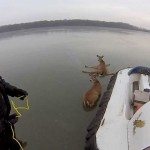 Reddingsactie op het ijs