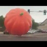 Reuzenpompoen rolt over straat