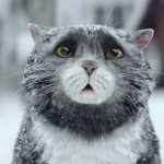 Sainsbury’s kerstcommercial