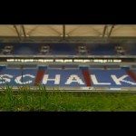 Schalke 04: stadion met uniek veld