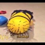 Schattig Halloweenkostuum