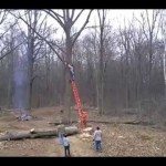 Snoeien van een boom loopt fout af