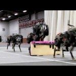 Springende cheeta robot