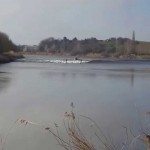 Surfen op een rivier