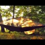 Tentsile Stingray