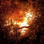 The Fire Within – vulkaan