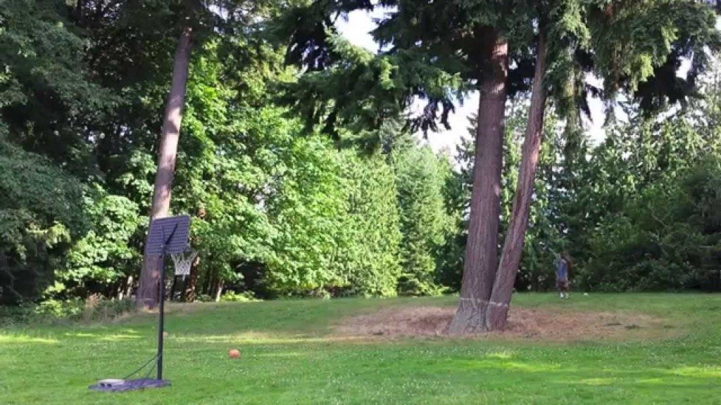 Tieners maken ongelofelijke basketvideo