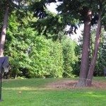 Tieners maken ongelofelijke basketvideo