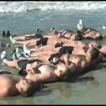 Trainen zoals de navy seals