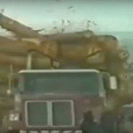 Treincrash compilatie