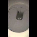 Trek altijd het toilet door