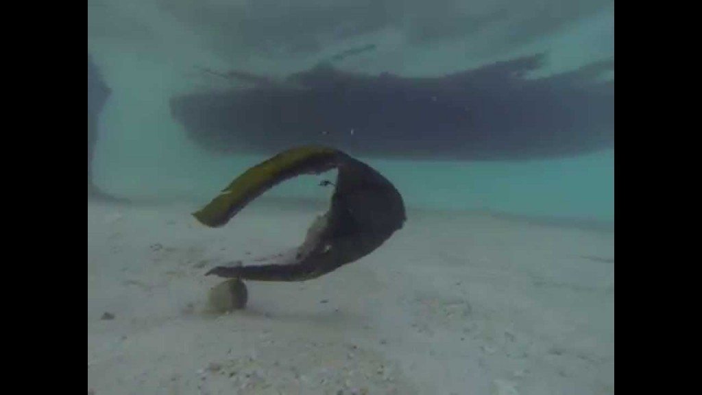 Triest verhaal van een vis