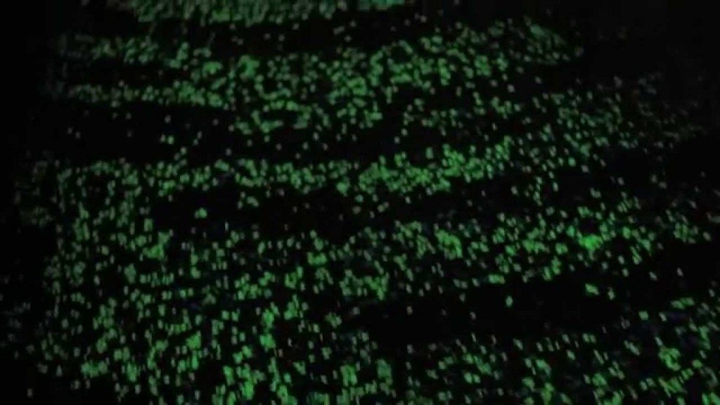 Uniek, lichtgevend fietspad