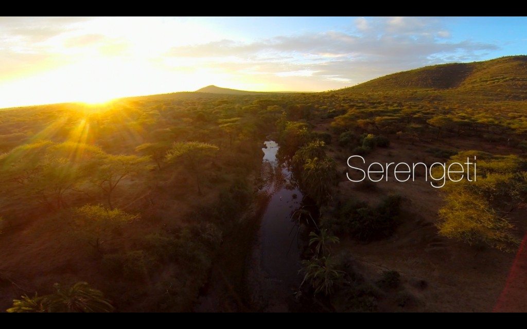 Unieke beelden van de savanne