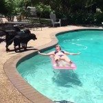 Verschrikkelijke zwarte haai valt vrouw op zee aan!