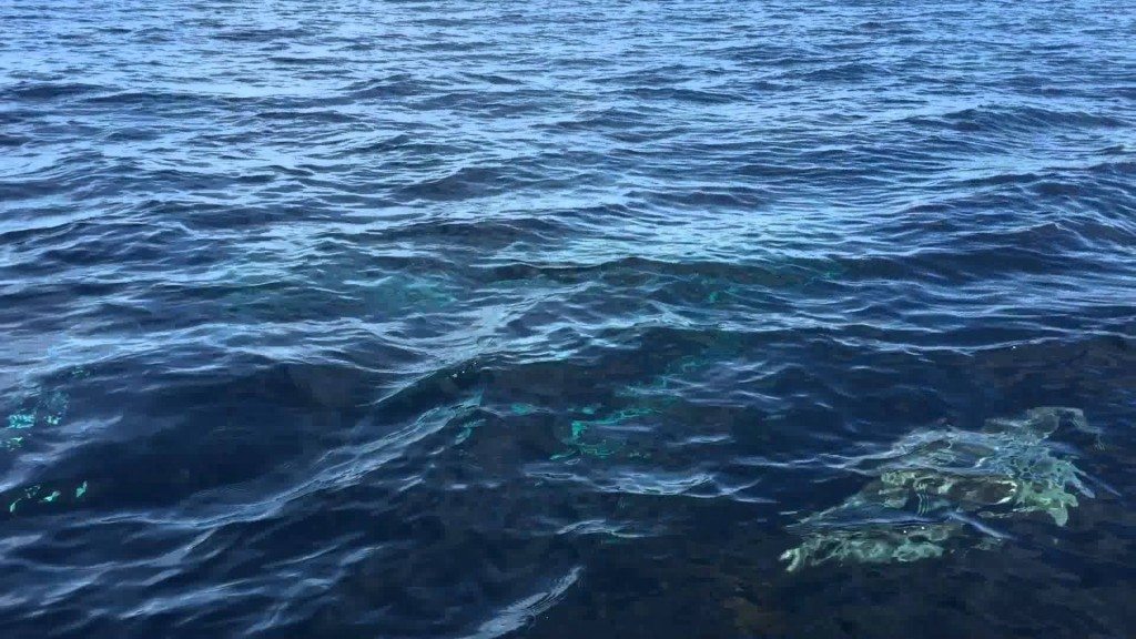 Vissen houden van vissersboot